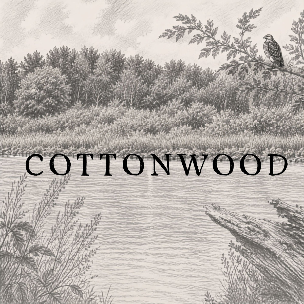Cottonwood