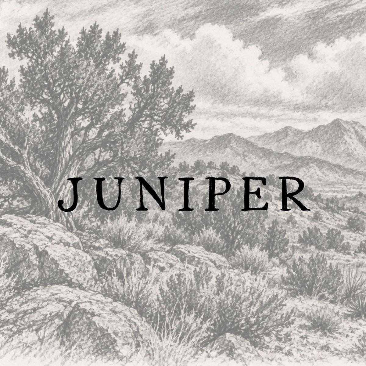 Juniper