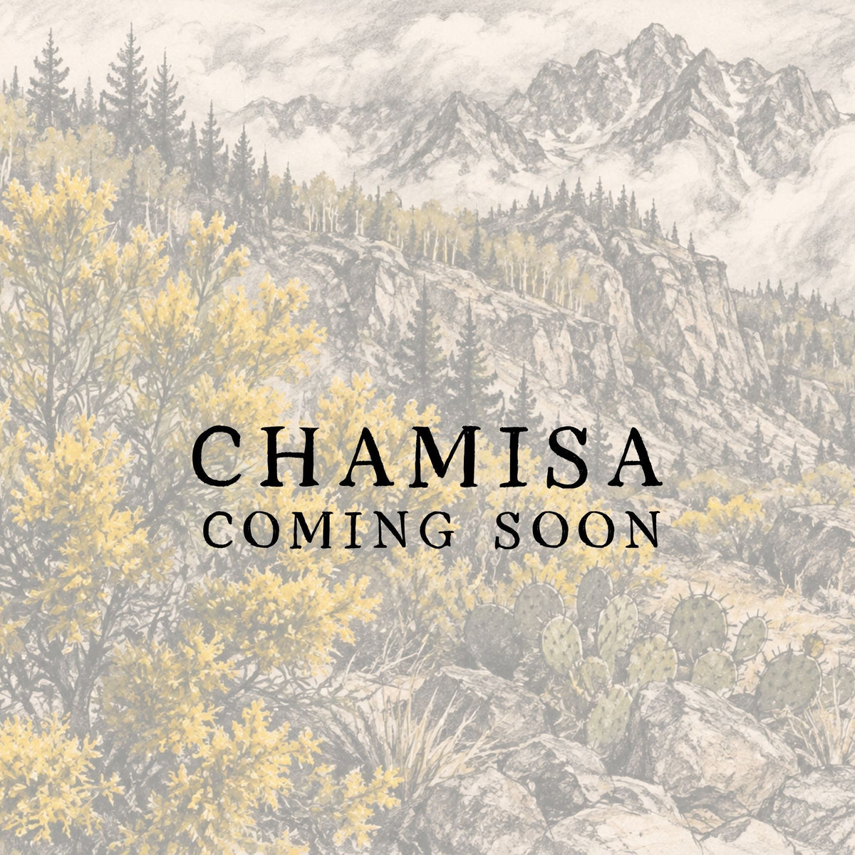 Chamisa