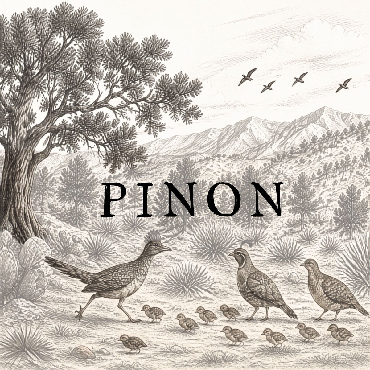 Pinon