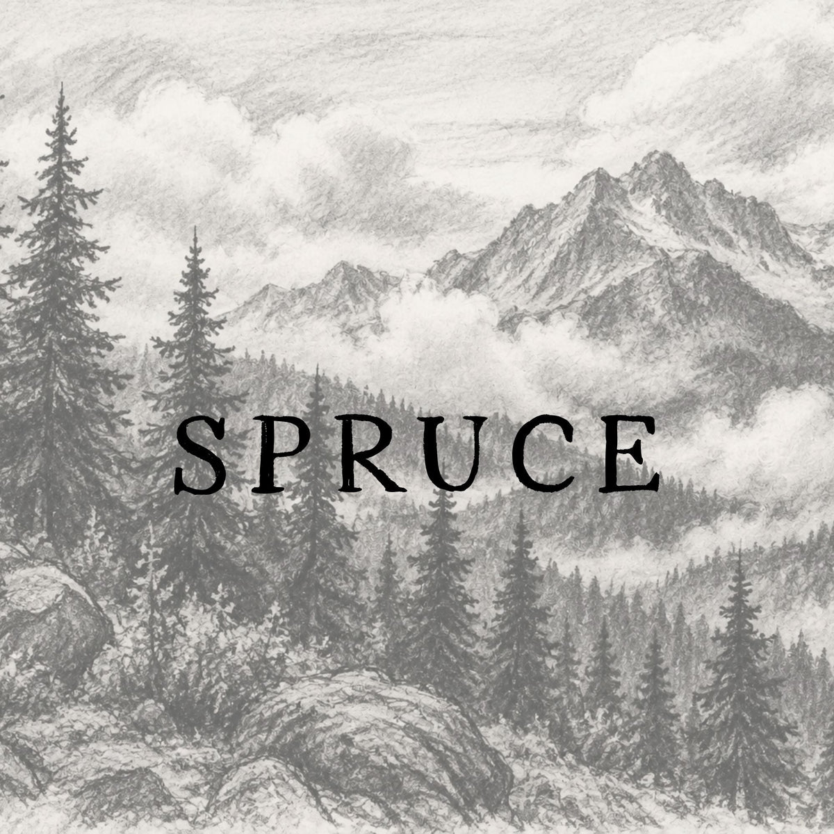 Spruce