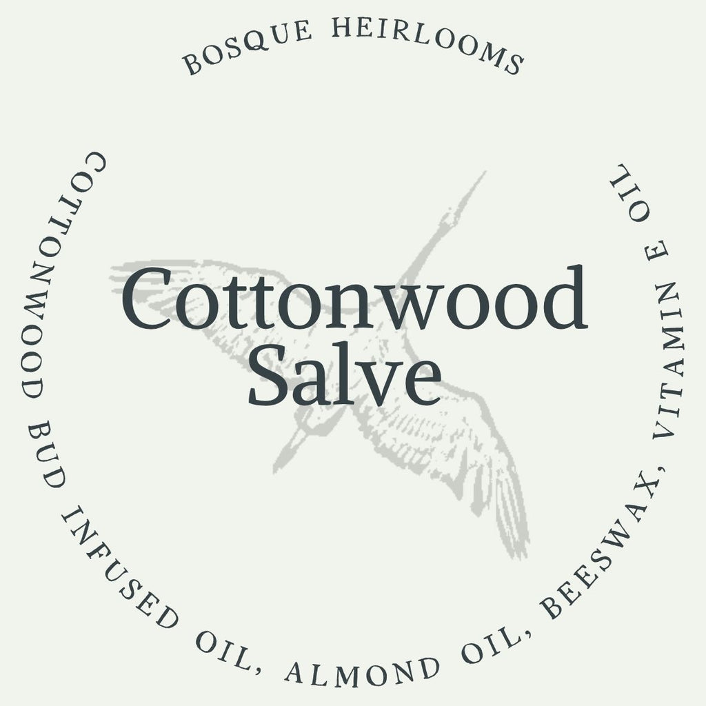 Cottonwood Bud Salve
