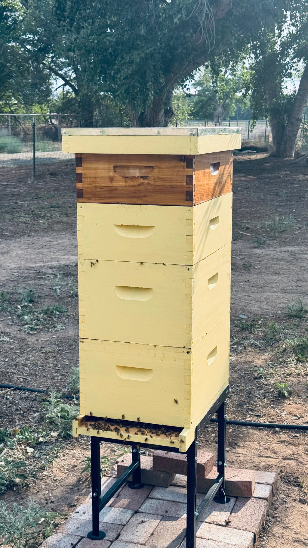 Ranchito Honey - 4 ounces