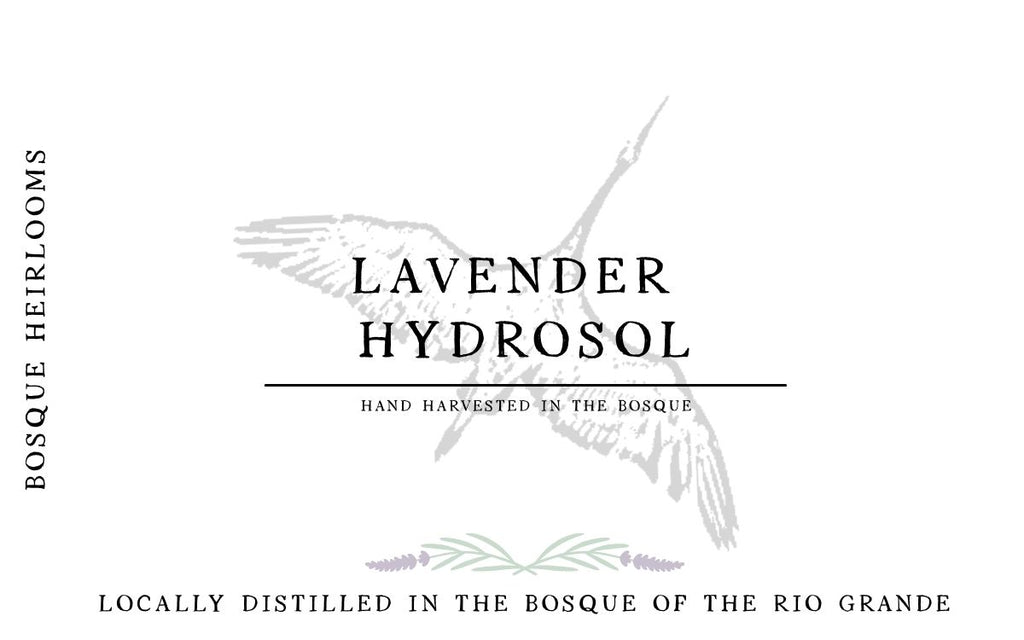 Lavender Hydrosol