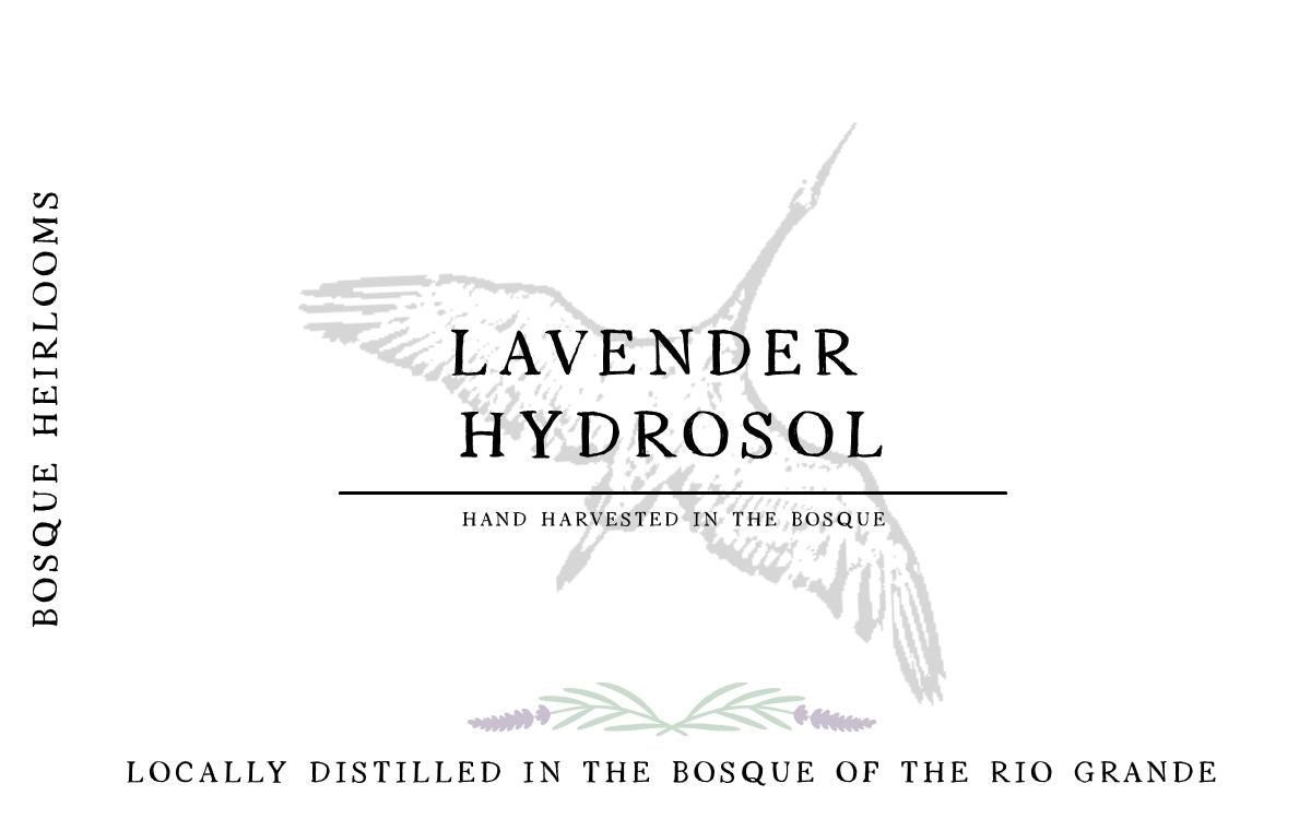 Lavender Hydrosol