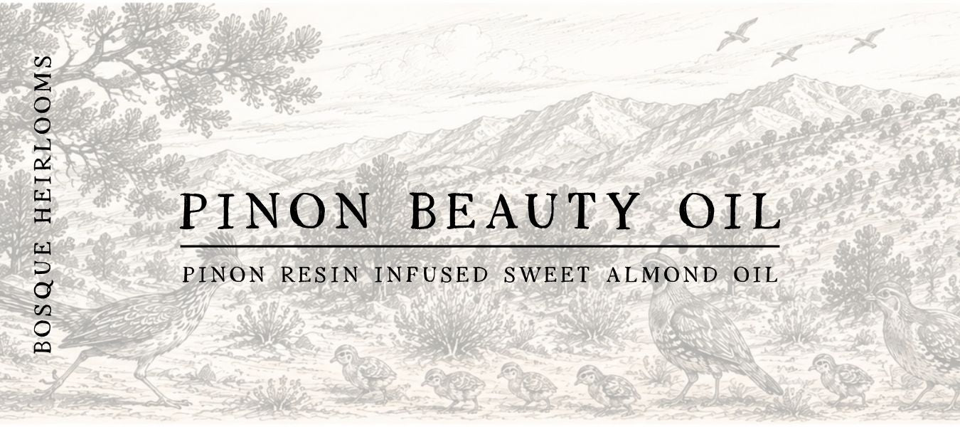 Pinon Beauty Oil