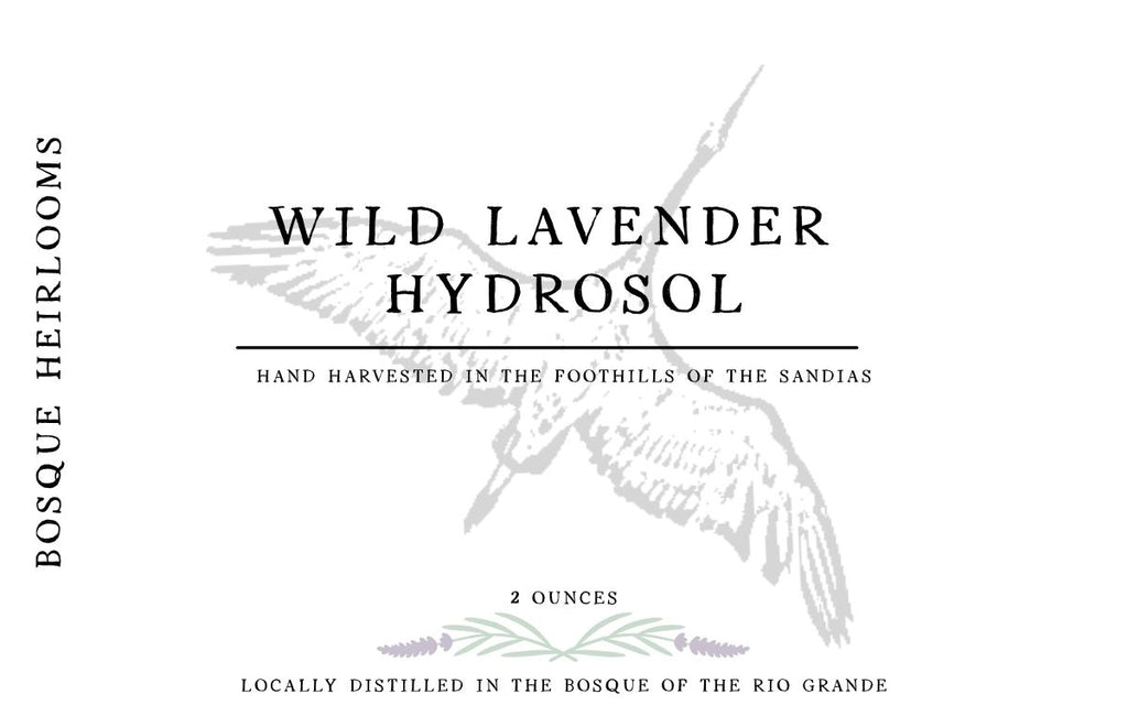 Wild Lavender Hydrosol