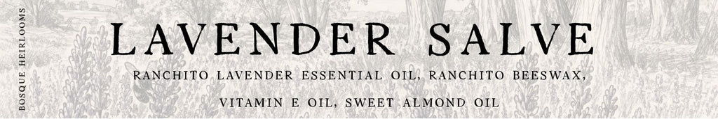 Lavender Salve